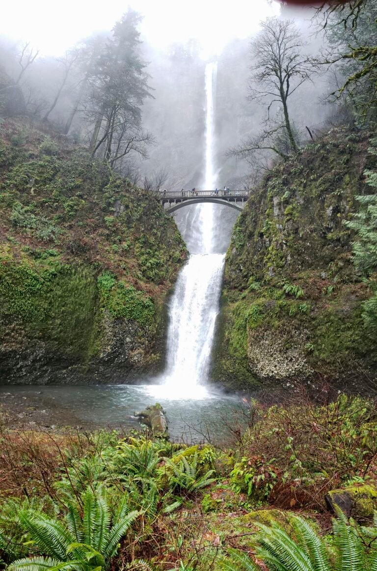 Multnomah Falls Cell